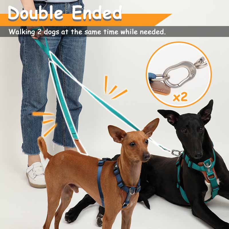 Mysudui 5 1多機能調節可能な犬のリードでハンドフリ - Leather Strap Quick Release のレビューと価格